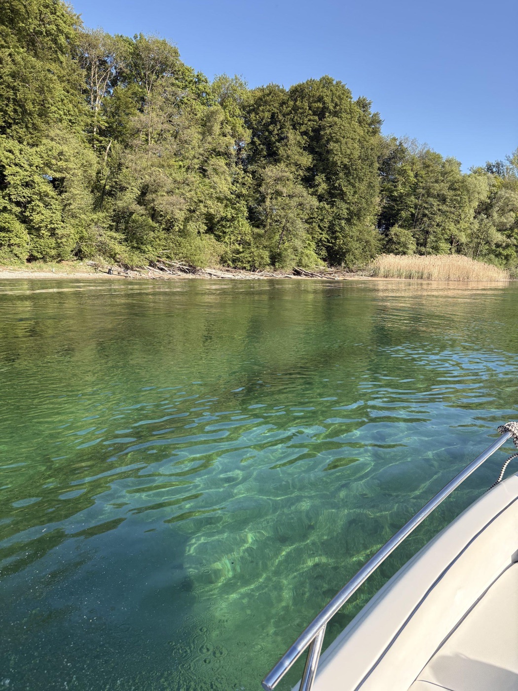 Trip on the Rhine