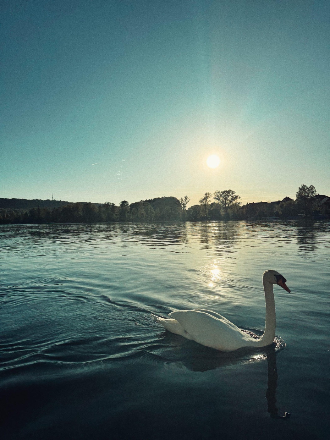 Sunset on Lake Constance